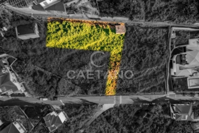Moradia T4 para Venda em Ribeira Brava