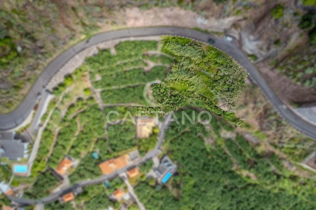 Terreno para Venda em Calheta Foto 4
