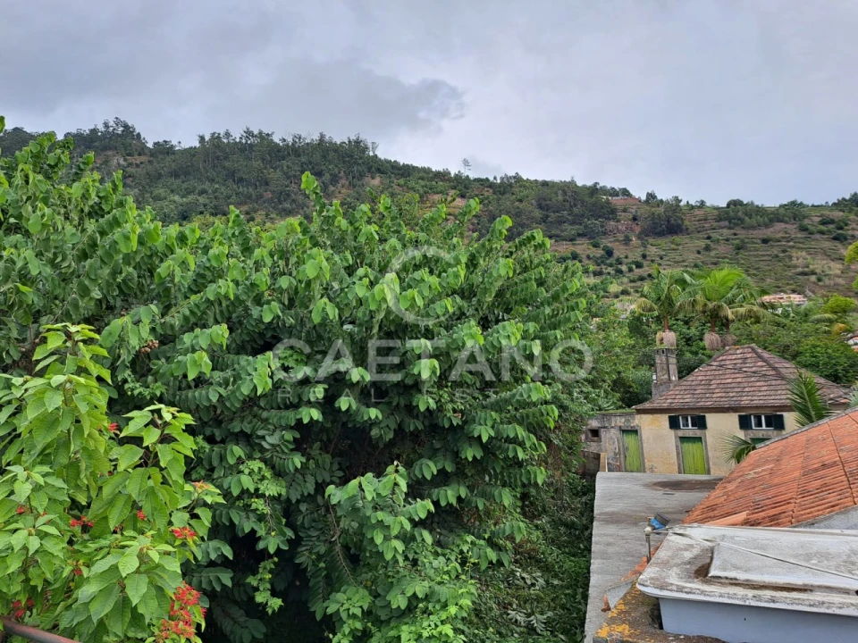 Terreno para Venda em Arco da Calheta Foto 2