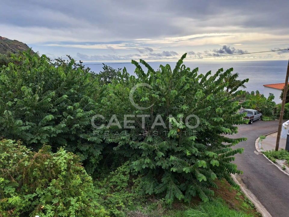 Terreno para Venda em Arco da Calheta Foto 3
