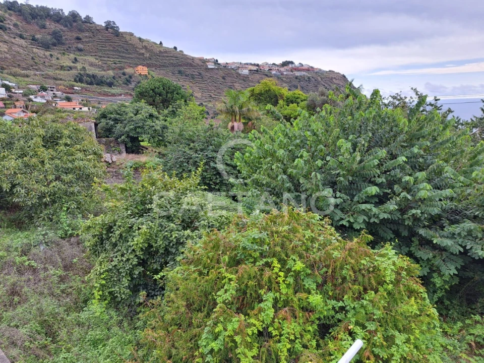 Terreno para Venda em Arco da Calheta Foto 4