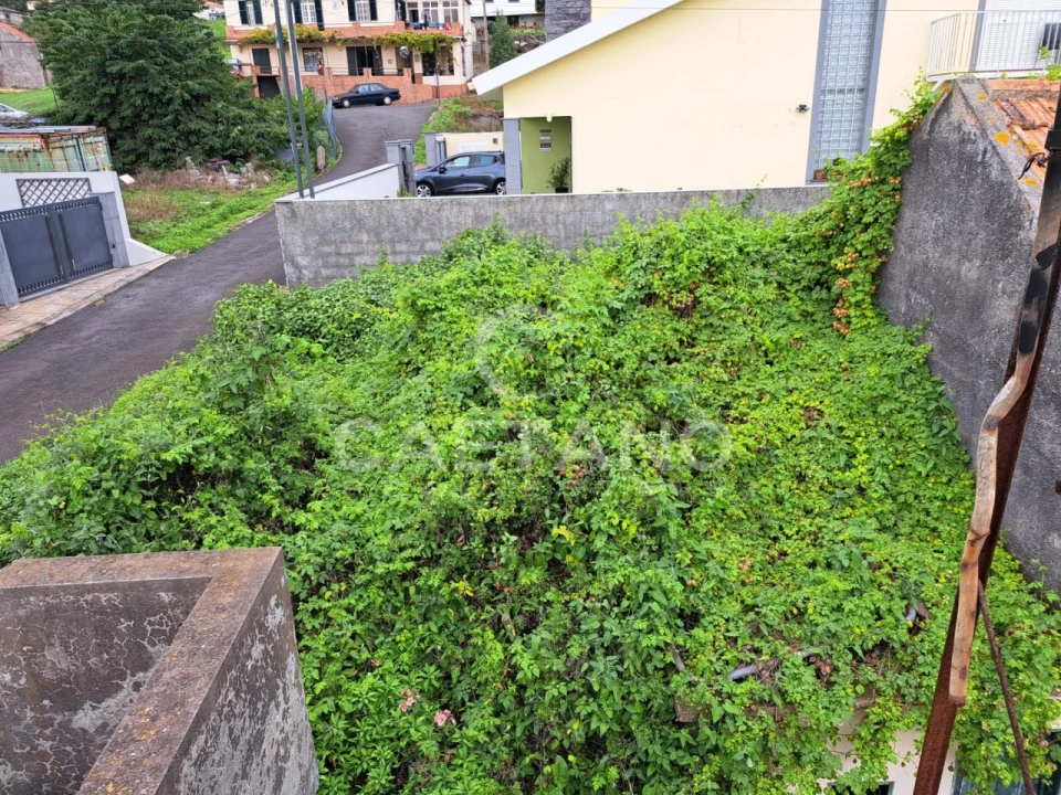 Terreno para Venda em Arco da Calheta Foto 5