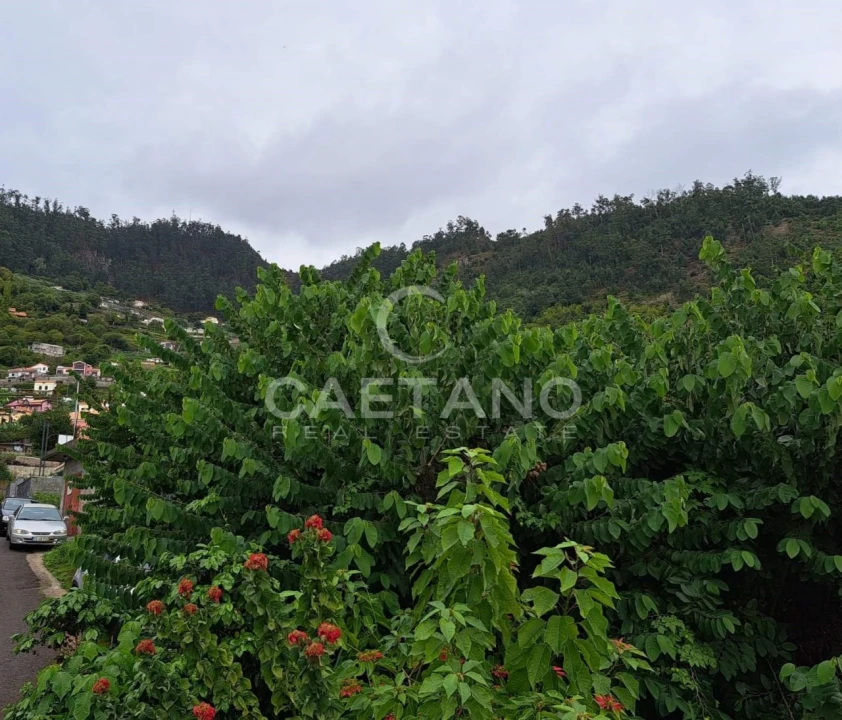Terreno para Venda em Arco da Calheta Foto 6