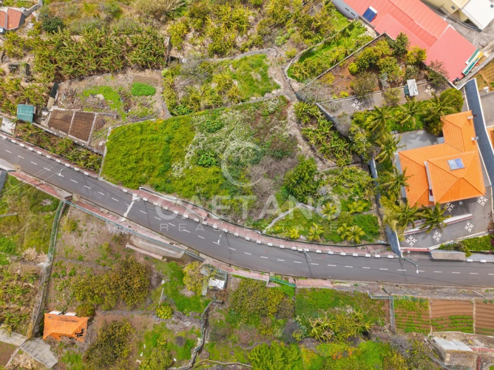 Terreno para Venda em Ribeira Brava Foto 3