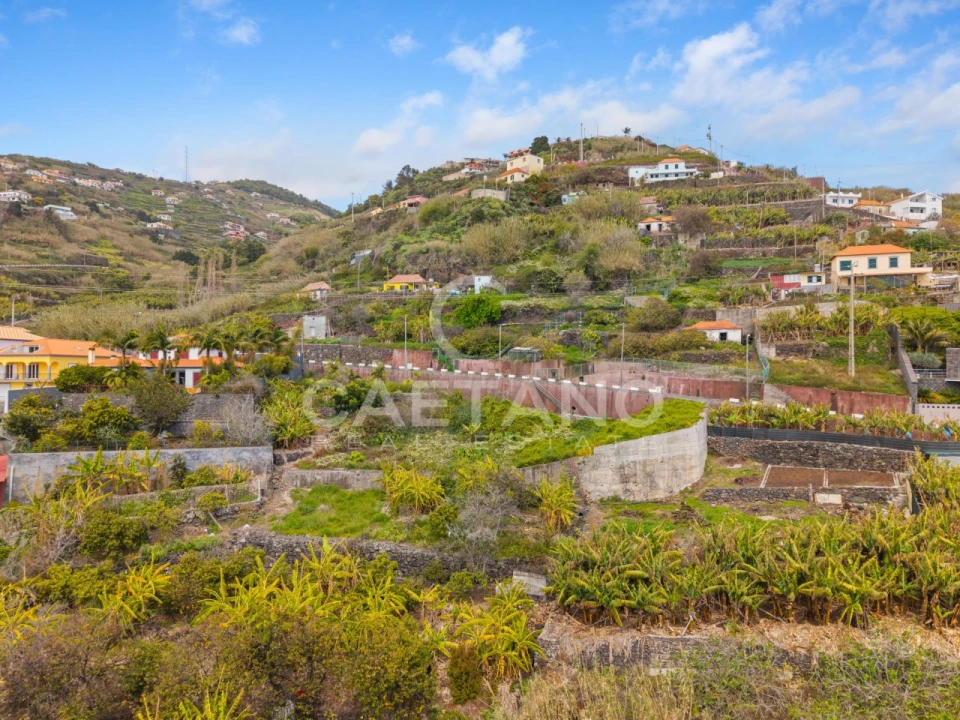 Terreno para Venda em Ribeira Brava Foto 6
