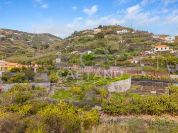 Terreno para Venda em Ribeira Brava