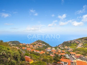 Terreno para Venda em Ribeira Brava