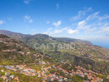 Terreno para Venda em Ribeira Brava