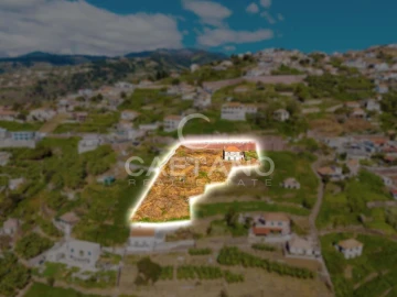 Moradia para Venda em Ribeira Brava