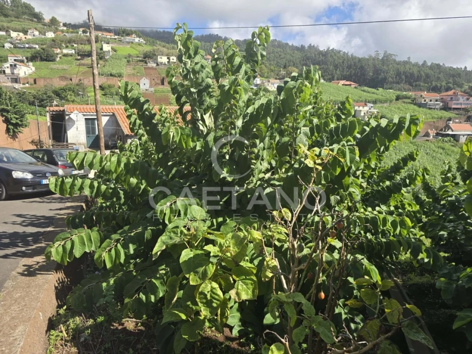 Terreno para Venda em Canhas Foto 10
