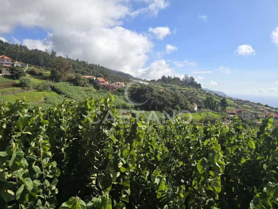 Terreno para Venda em Canhas Foto 23
