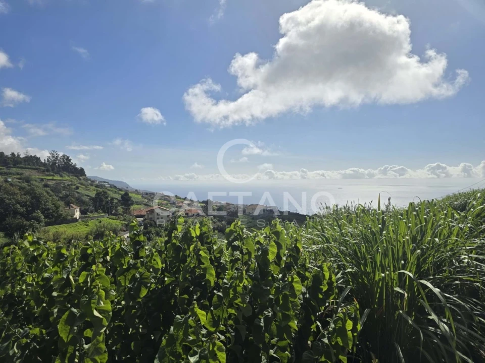 Terreno para Venda em Canhas Foto 24