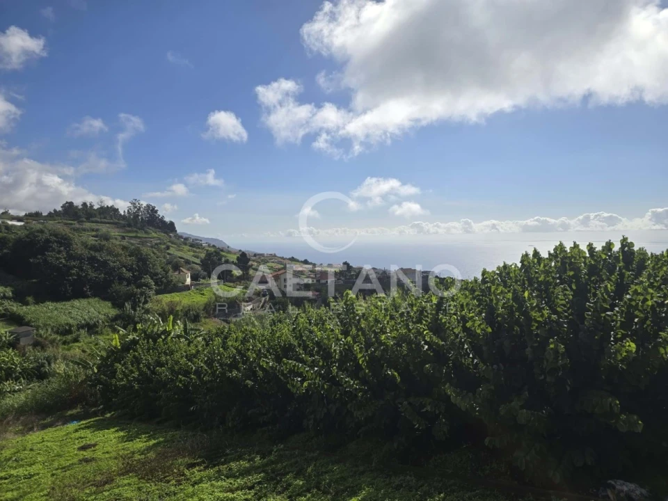 Terreno para Venda em Canhas Foto 25