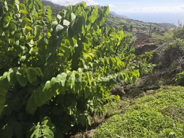 Terreno para Venda em Canhas