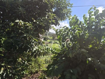 Terreno para Venda em Canhas