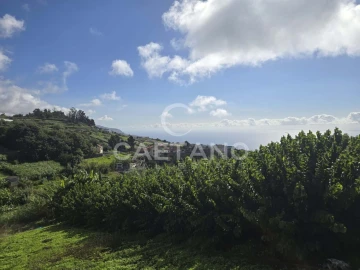 Terreno para Venda em Canhas