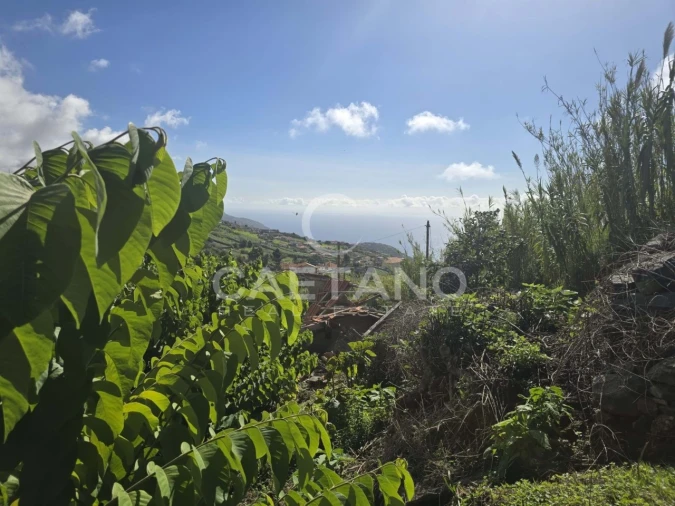Terreno para Venda em Canhas Foto 8