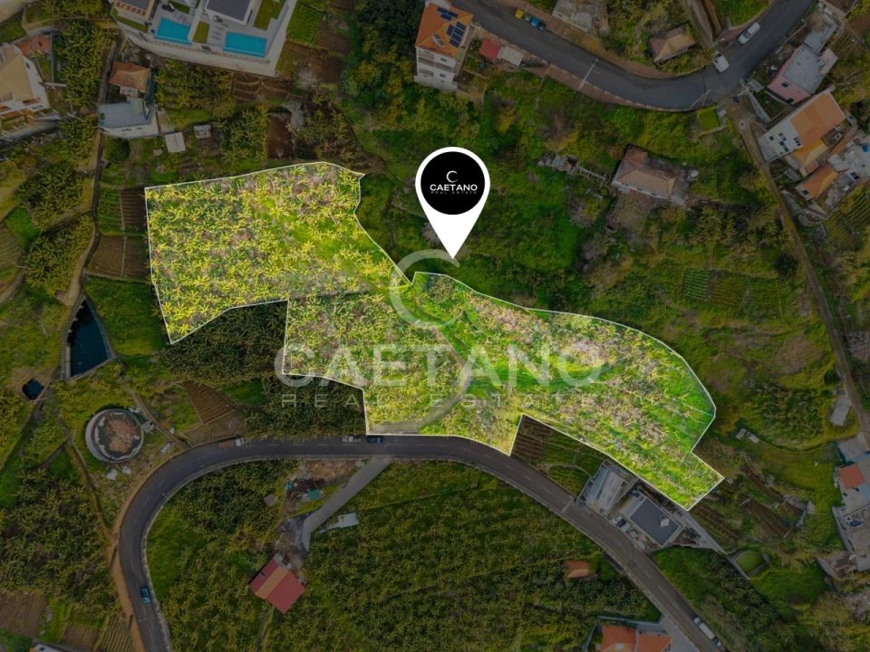 Terreno para Venda em Ribeira Brava Foto 5