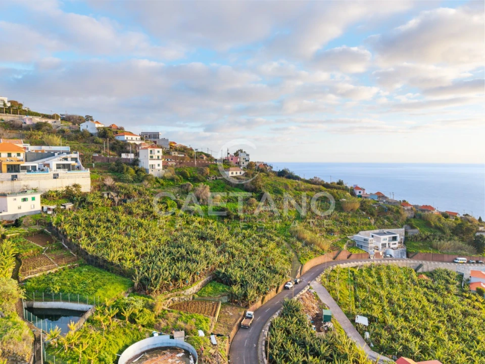 Terreno para Venda em Ribeira Brava Foto 8