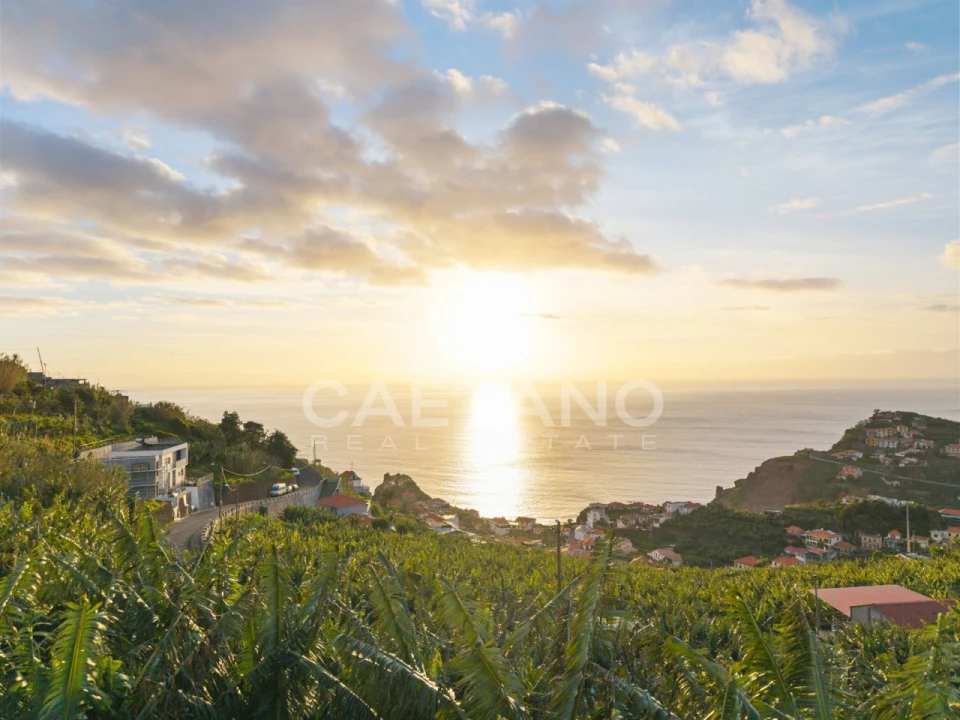 Terreno para Venda em Ribeira Brava Foto 15