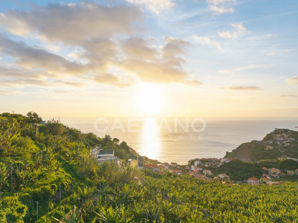 Terreno para Venda em Ribeira Brava Foto 16