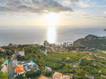 Terreno para Venda em Ribeira Brava