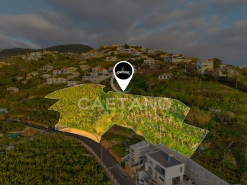 Terreno para Venda em Ribeira Brava