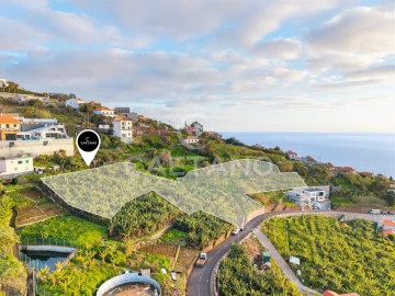 Terreno para Venda em Ribeira Brava
