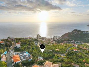 Terreno para Venda em Ribeira Brava