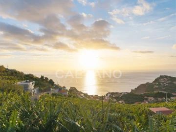 Terreno para Venda em Ribeira Brava