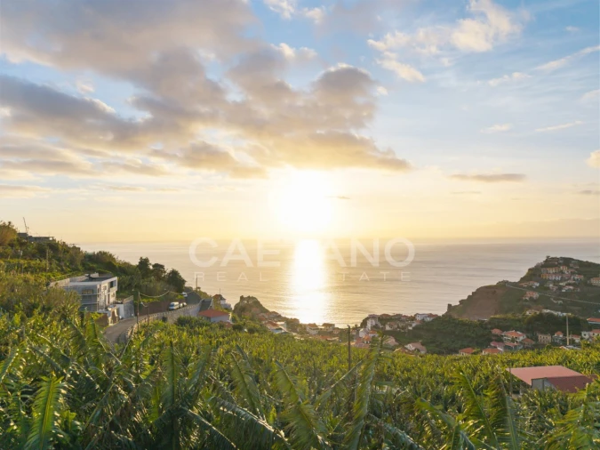 Terreno para Venda em Ribeira Brava Foto 15