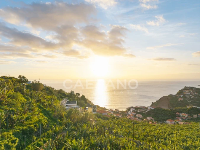 Terreno para Venda em Ribeira Brava Foto 16