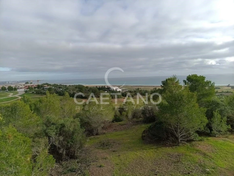 Terreno para Venda em Odiaxere Foto 17