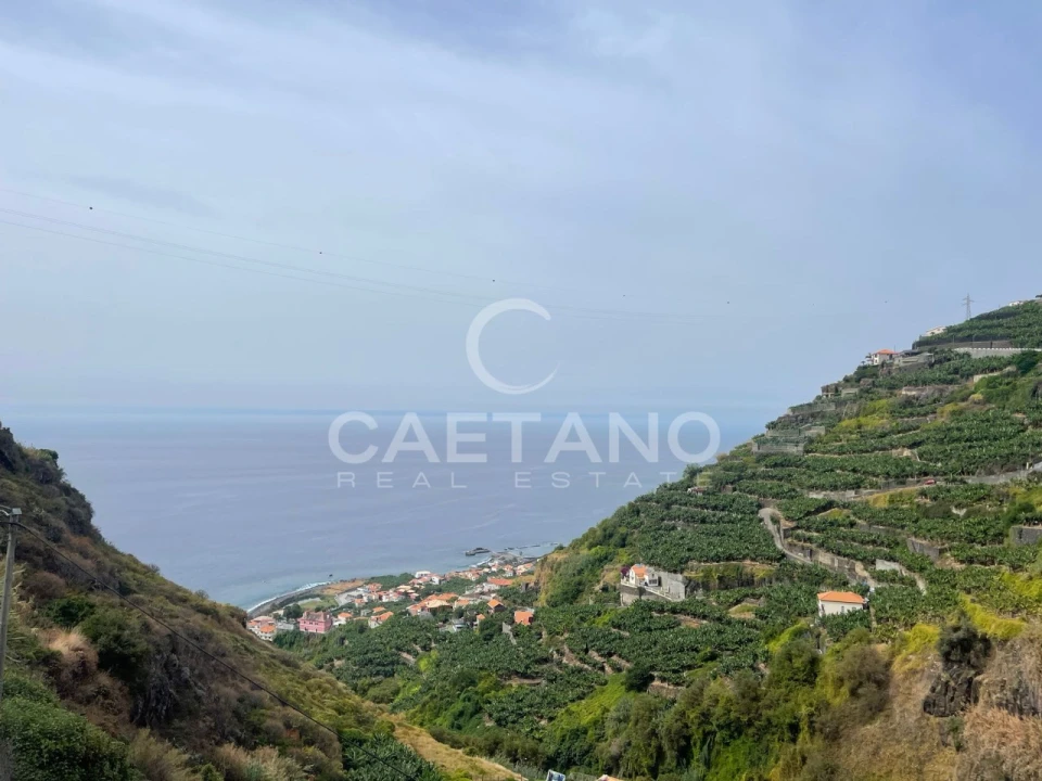 Terreno para Venda em Ribeira Brava Foto 1