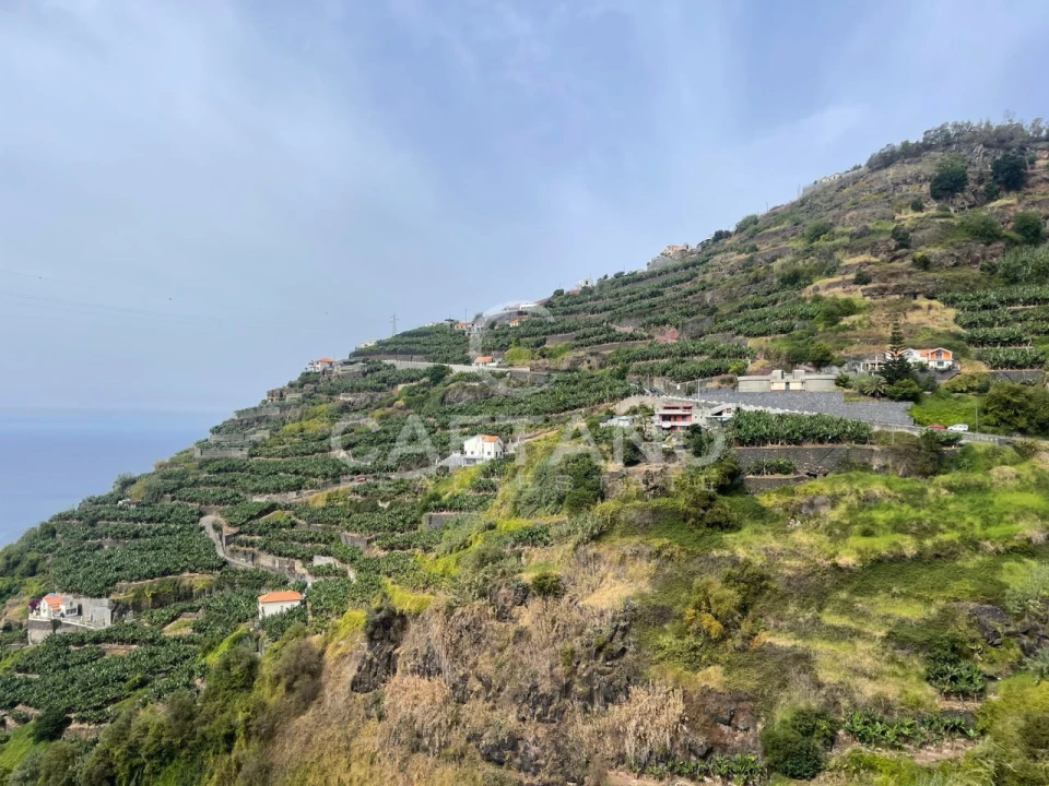 Terreno para Venda em Ribeira Brava Foto 16
