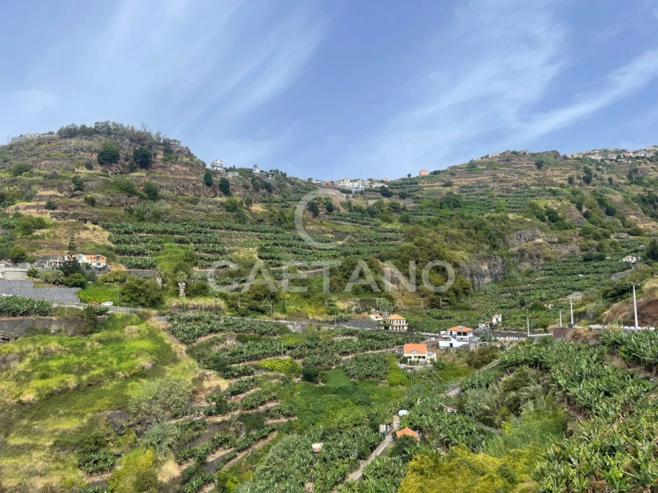 Terreno para Venda em Ribeira Brava Foto 17