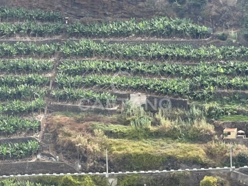 Terreno para Venda em Ribeira Brava