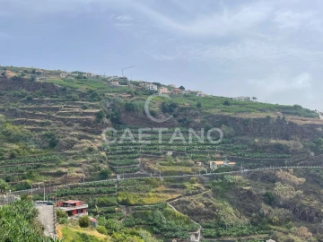 Terreno para Venda em Ribeira Brava