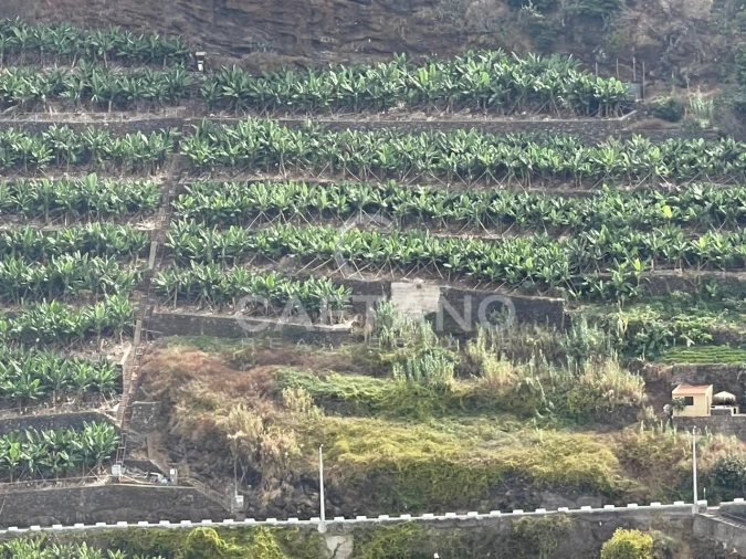 Terreno para Venda em Ribeira Brava Foto 2