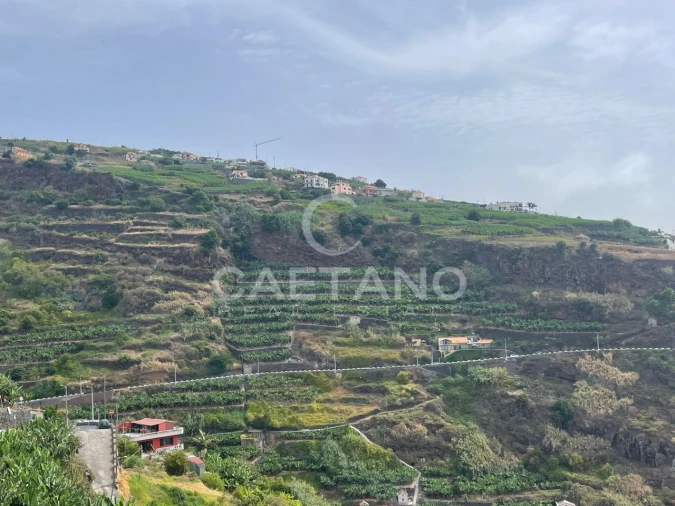 Terreno para Venda em Ribeira Brava Foto 15