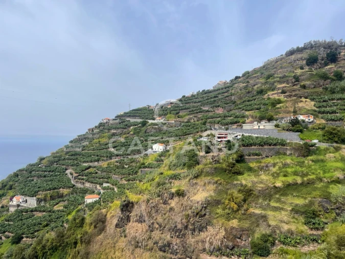 Terreno para Venda em Ribeira Brava Foto 16