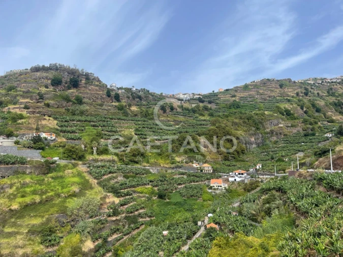 Terreno para Venda em Ribeira Brava Foto 17