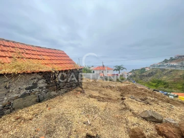 Terreno para Venda em Ribeira Brava