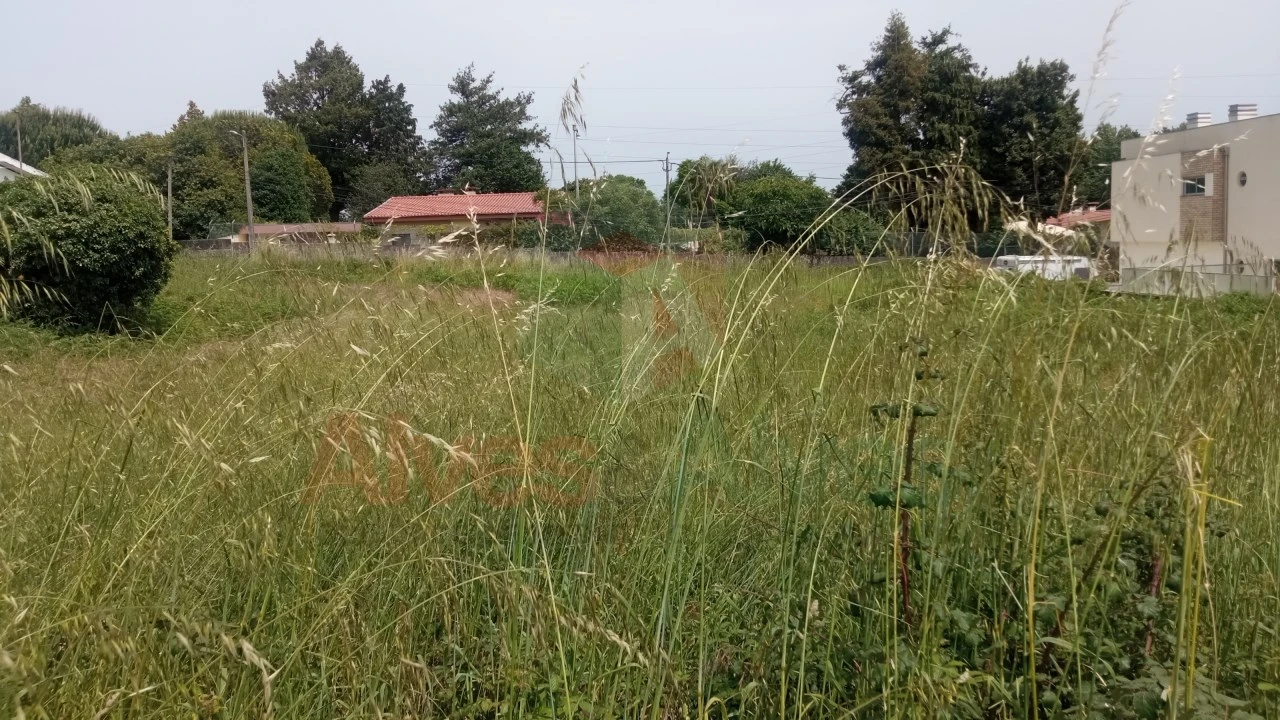 Terreno para Venda em Cidade da Maia Foto 2