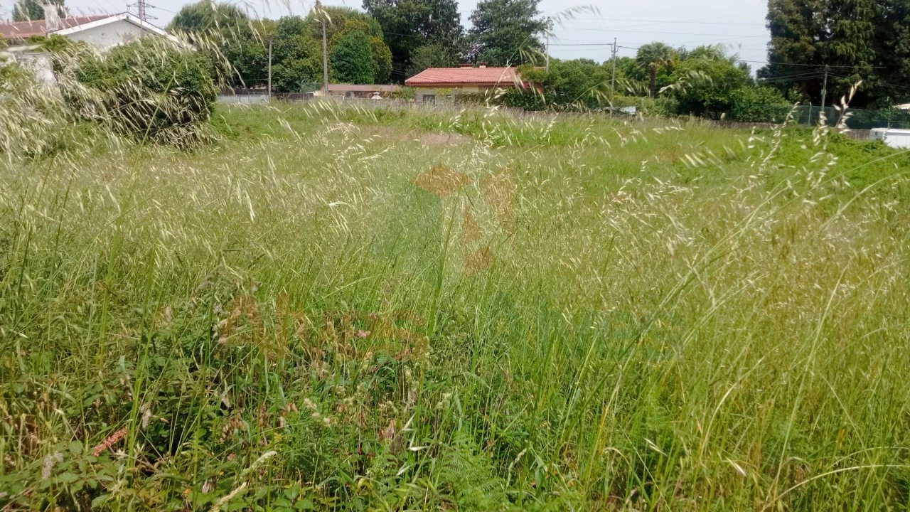 Terreno para Venda em Cidade da Maia Foto 3