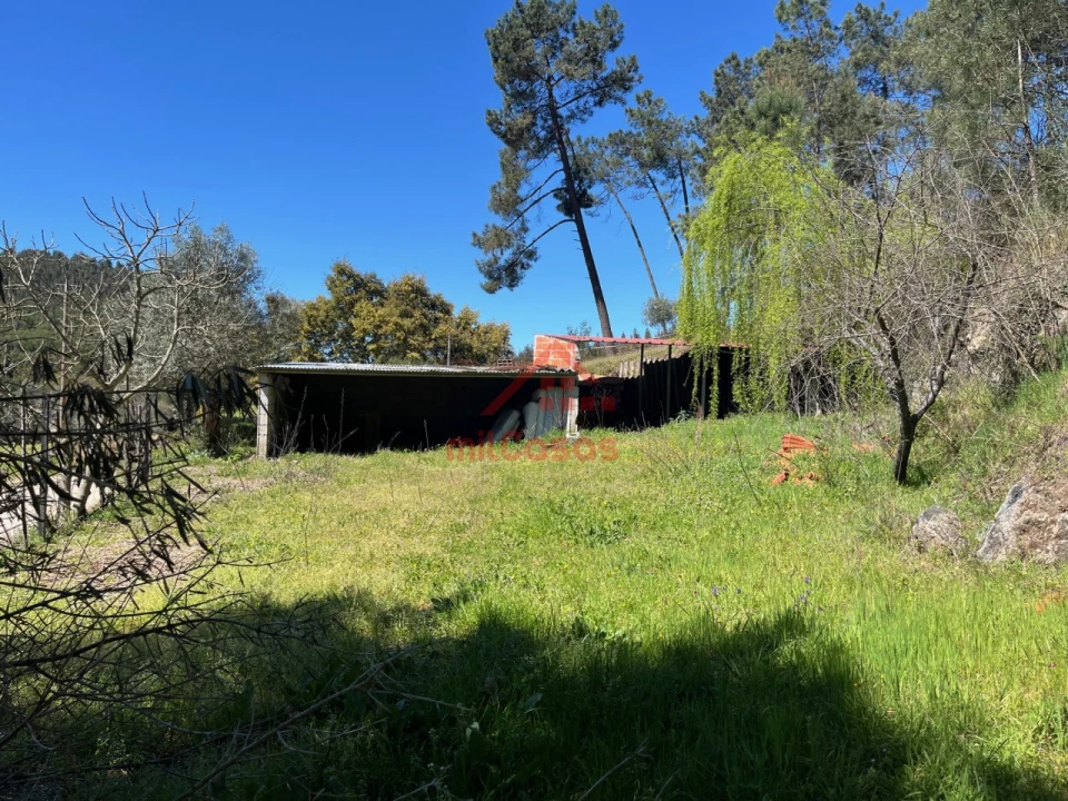 Quinta T2 para Venda em Tabua Foto 13