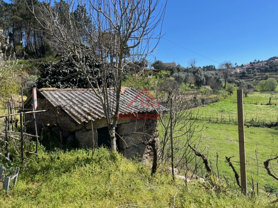 Quinta T2 para Venda em Tabua Foto 14