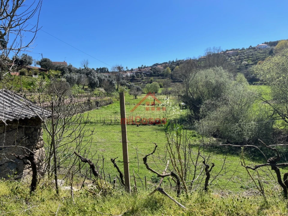 Quinta T2 para Venda em Tabua Foto 15