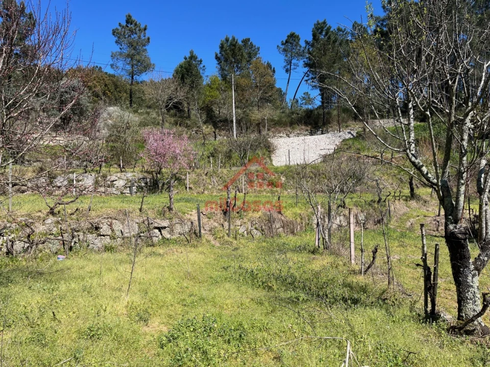 Quinta T2 para Venda em Tabua Foto 24