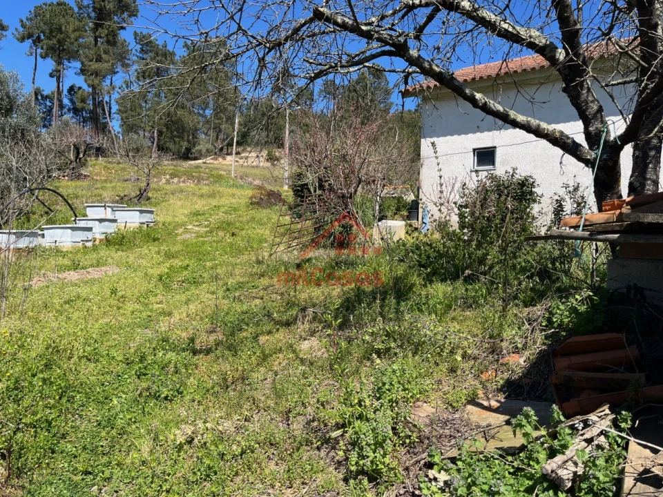 Quinta T2 para Venda em Tabua Foto 26
